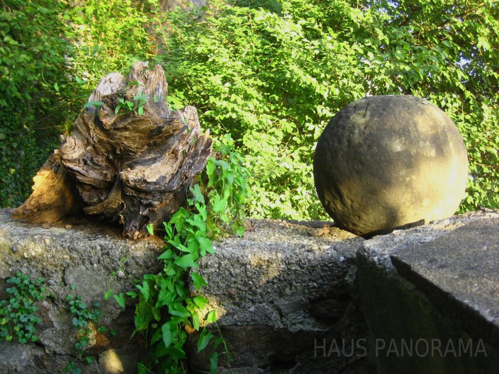 Haus Panorama Otel Passau Dış mekan fotoğraf